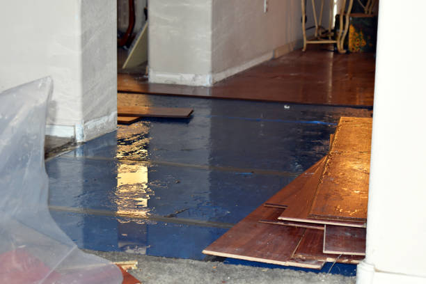 Professional Water Extraction technician working in Oakville, WA
